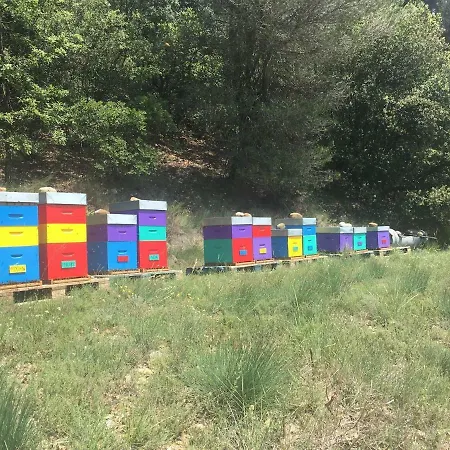 Le Clos Des Collines